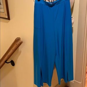 Sympli size 6 cropped blue pants.